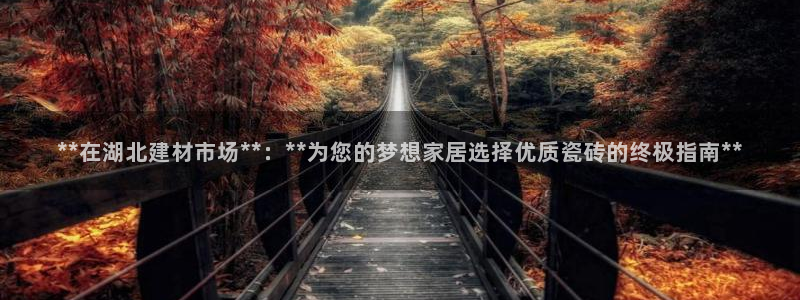 杏鑫官网注册账号是什么意思