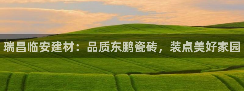 杏鑫登录注册测速