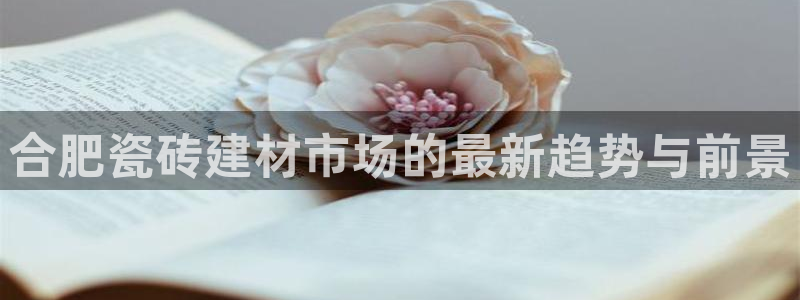 杏鑫平台代理注册多少钱一年