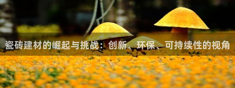 杏鑫官网注册账号