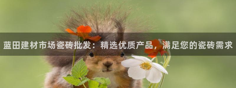 杏鑫代理注册平台