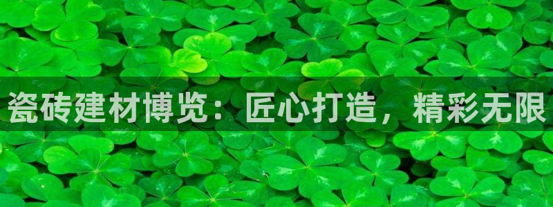 杏鑫平台代理注册流程视频