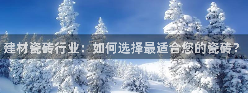 杏鑫注册登录平台