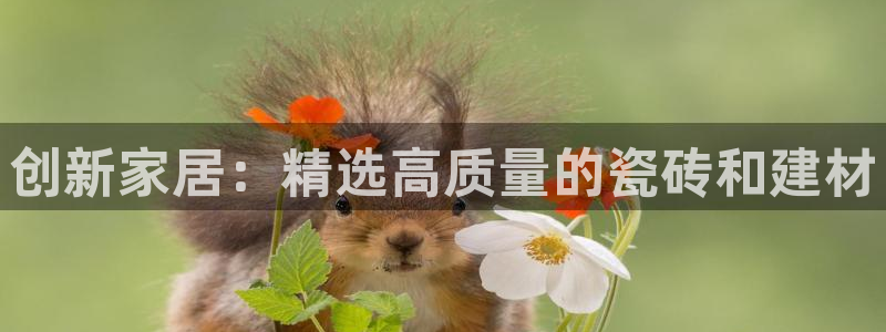 杏鑫注册登录网