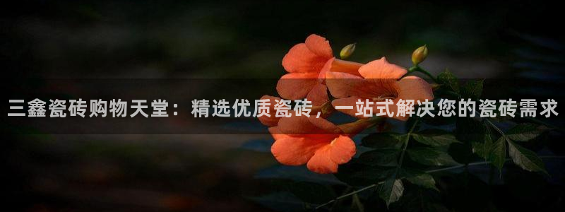 杏鑫官网注册账号怎么注册