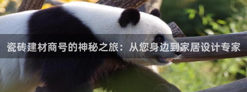 杏鑫代理注册登录