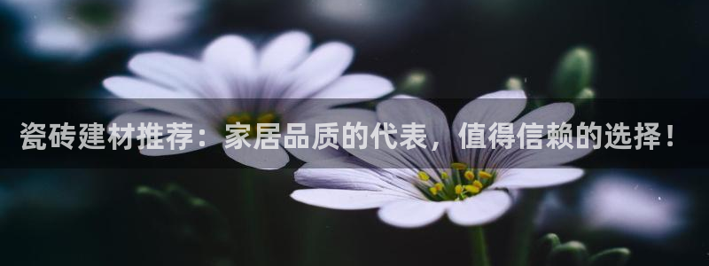 杏鑫官网注册账号密码是什么