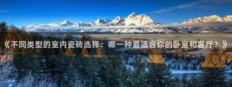 杏鑫平台注册网址是多少