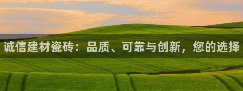 杏鑫平台代理注册流程及费用