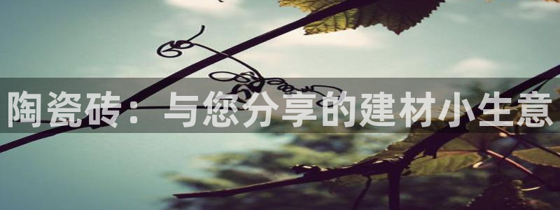 杏鑫平台代理注册登录不了怎么办呀苹果