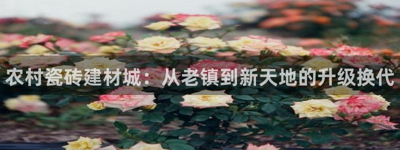 杏鑫平台代理注册流程及费用