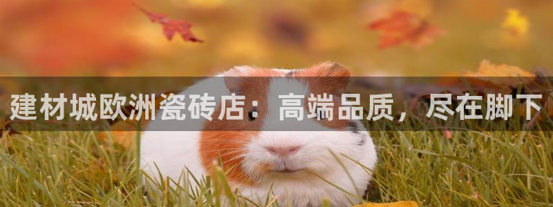 杏鑫官方平台怎么样啊可靠吗