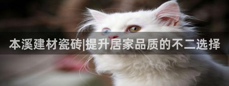 杏鑫娱乐-官方网站