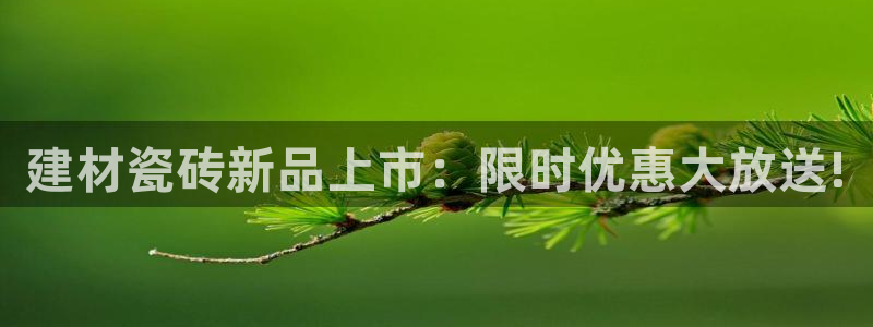 杏鑫官网注册账号