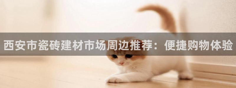 杏鑫手机客户端怎么下载