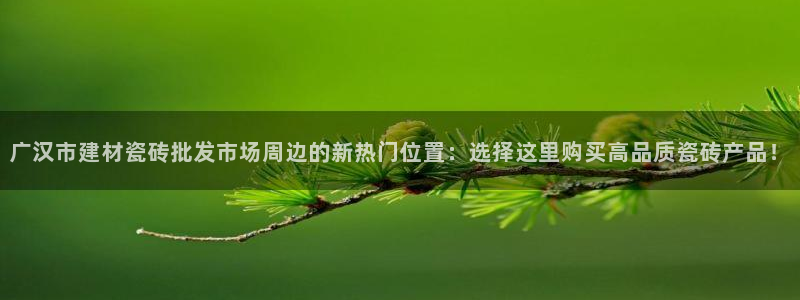 杏鑫平台注册入口在哪