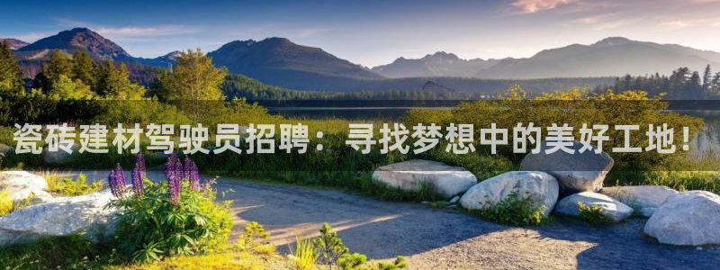 杏鑫官网注册账号怎么注册