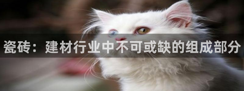 杏鑫娱乐官网登录不了