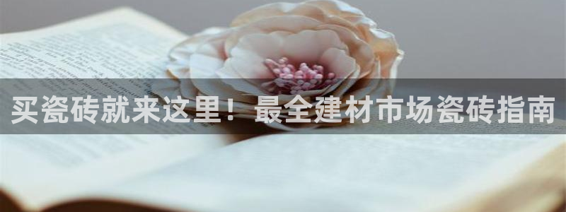 杏鑫平台正规吗