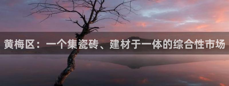 杏鑫平台注册网址是什么