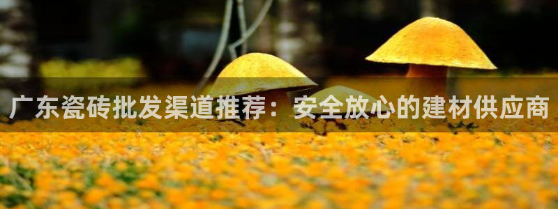 杏鑫官网注册账号密码忘了